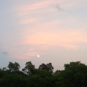 Meet your Posher, Liz